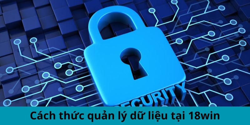 Cách thức quản lý dữ liệu tại 18win