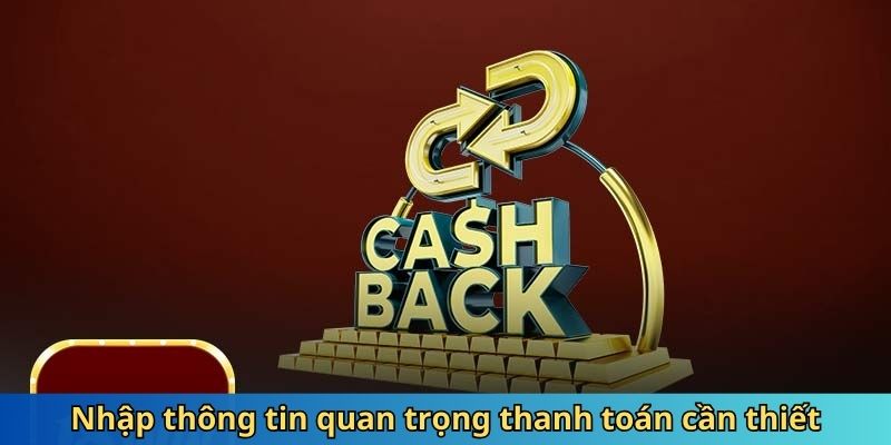 Nhập thông tin quan trọng thanh toán cần thiết