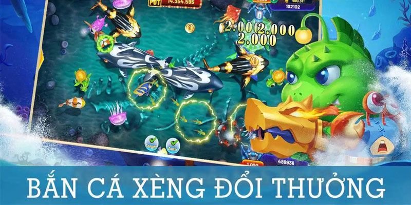 Ngắm cá theo từng đàn sẽ giúp gia tăng tỷ lệ chính xác