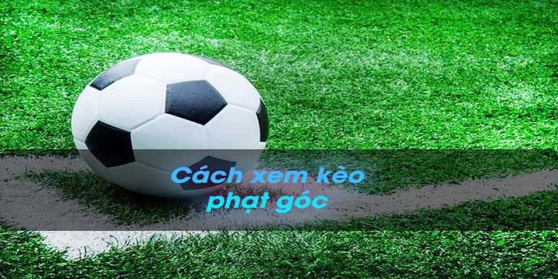 Dằn túi tip chơi kèo phạt góc từ cao thủ gạo cội